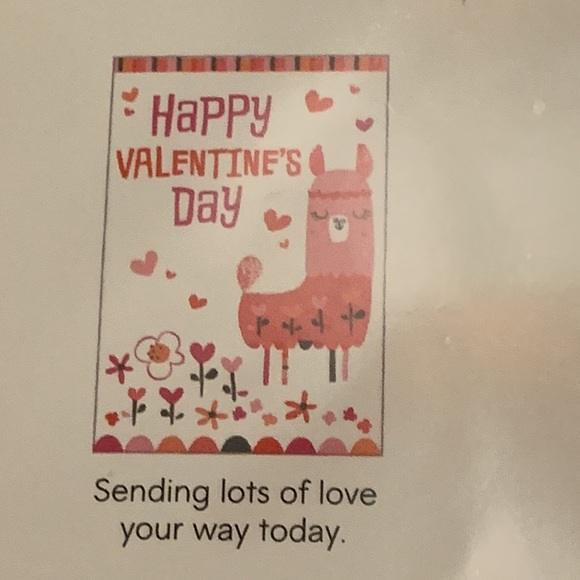 NWT Set of Valentines Day Hallmark Greeting Cards Snoopy and Assorted 18 Cards - Picture 9 of 11